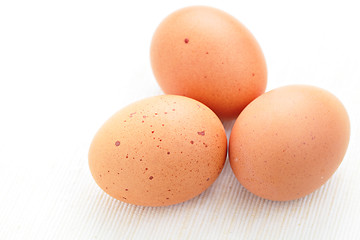 Image showing eggs