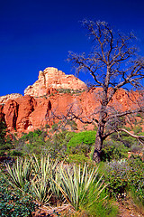 Image showing red rocks in sedona, arizona, usa