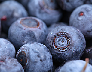 Image showing blueberry