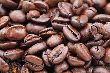 Image showing coffee bean