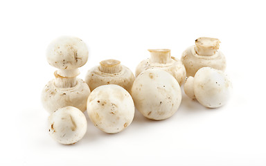 Image showing White Champignon Mushroom