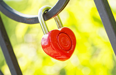 Image showing Love Lock