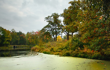 Image showing Autumn on a Lake
