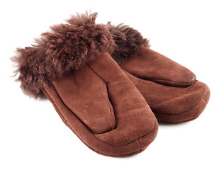 Image showing Fur Mittens