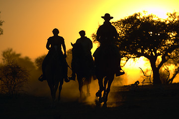 Image showing horse safari