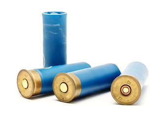 Image showing Shotgun Cartridges