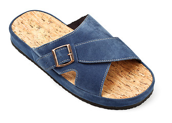 Image showing blue slipper