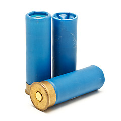 Image showing Shotgun Cartridges