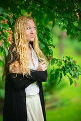 Image showing Hiding From the Rain