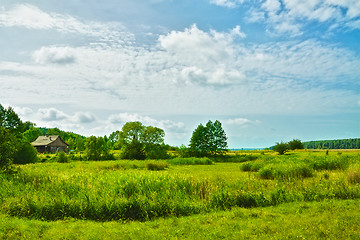 Image showing Sunny Meadow