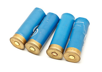 Image showing Shotgun Cartridges