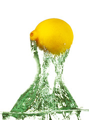 Image showing Lemon Jumps from Water