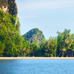 Image showing Andaman Shore