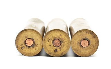 Image showing Shotgun Cartridges