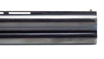 Image showing Shotgun Barrel