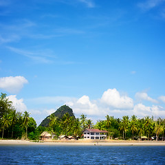 Image showing Andaman Shore