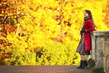 Image showing Girl on Bridge