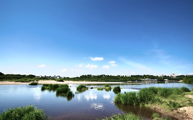 Image showing Calm River