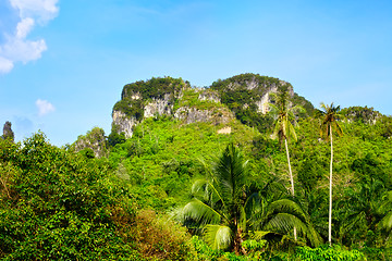 Image showing Thai Mountains