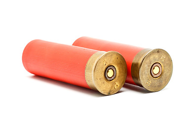 Image showing Shotgun Cartridges