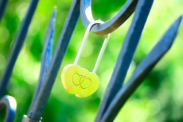 Image showing Love Lock