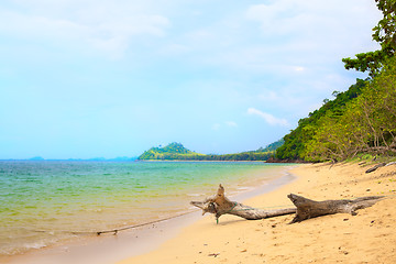 Image showing Tropical Beach