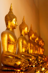 Image showing Buddhas in Wat Po