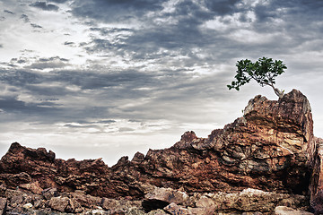 Image showing Rocky Shore