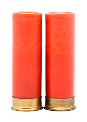 Image showing Shotgun Cartridges