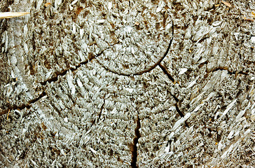 Image showing Texture of Old Wood