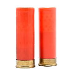 Image showing Shotgun Cartridges