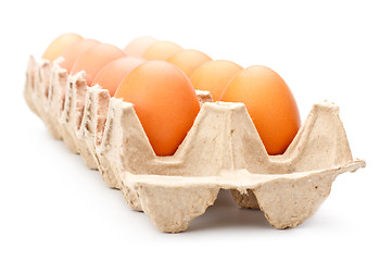 Image showing Eggs In Tray