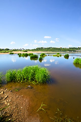 Image showing Calm River