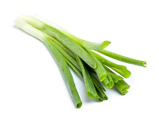 Image showing Fresh Leek