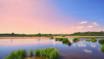 Image showing Calm River