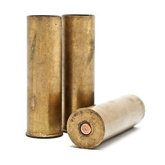 Image showing Shotgun Cartridges