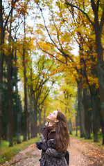 Image showing Girl on Forest