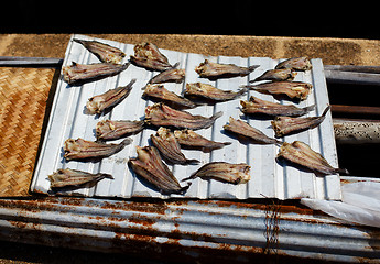 Image showing Small Dry Fish