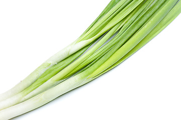 Image showing Fresh Leek