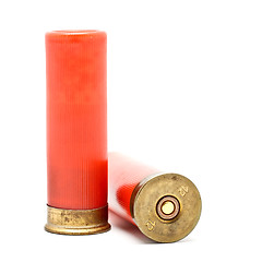 Image showing Shotgun Cartridges