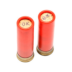 Image showing Shotgun Cartridges