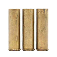 Image showing Shotgun Cartridges