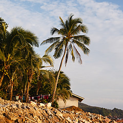 Image showing Andaman Sea Shore