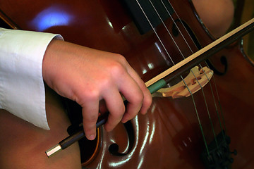 Image showing cello player