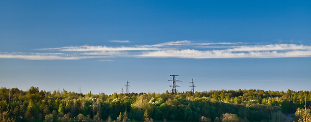 Image showing Forest Panorama