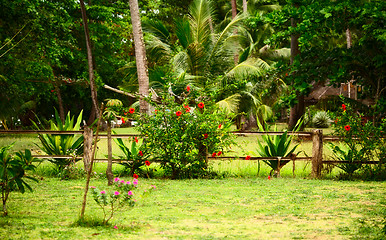 Image showing Thai Nature