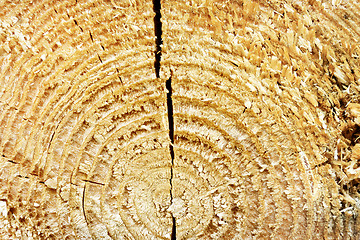 Image showing Texture of Old Wood