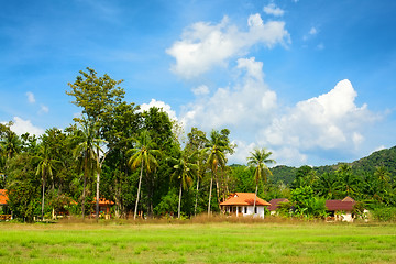 Image showing Thai Landscape