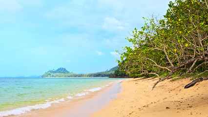 Image showing Tropical Beach