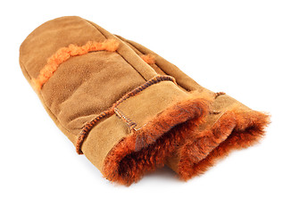 Image showing Fur Mittens